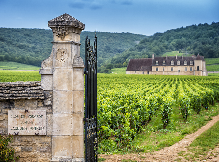AmaWaterways-Rhone-River